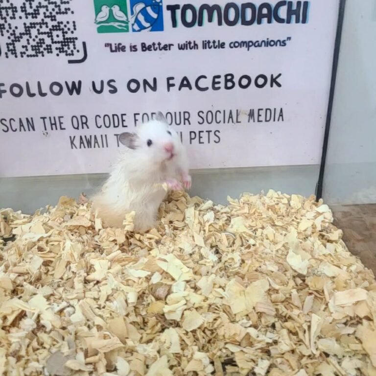 8cfe04bc-8ab3-47c7-8170-976c3c8c1fe5