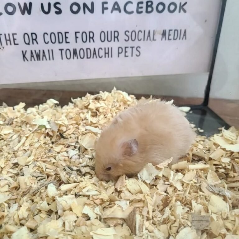 94c71bb0-eede-46c4-ae0b-8799d0b8ea63