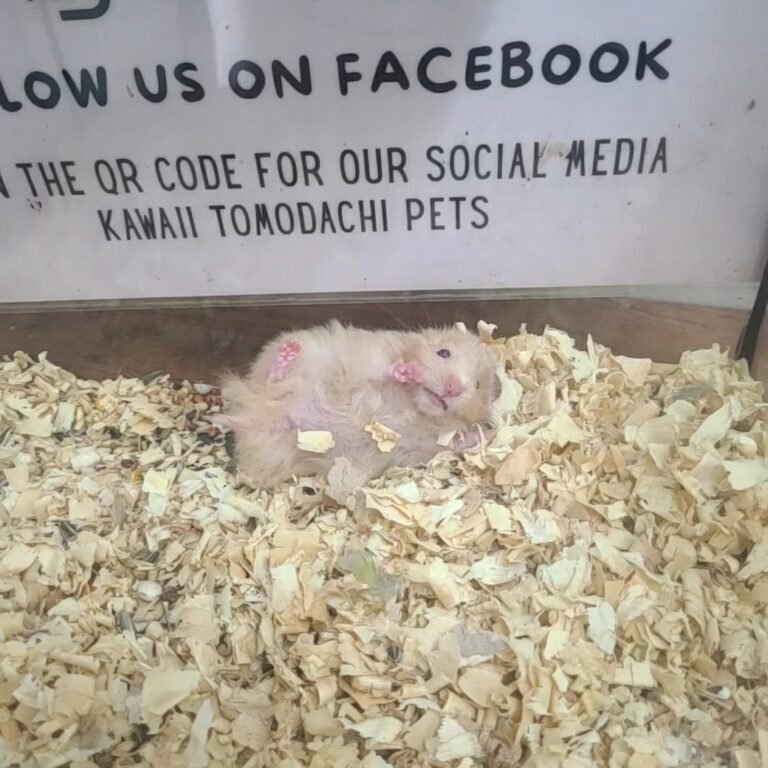 9a11d5df-60e2-4e10-8365-934f28a2ddbc