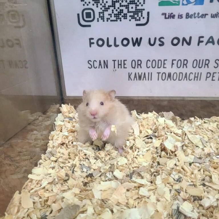 a9e45097-412c-40b0-8048-257d23e78efd