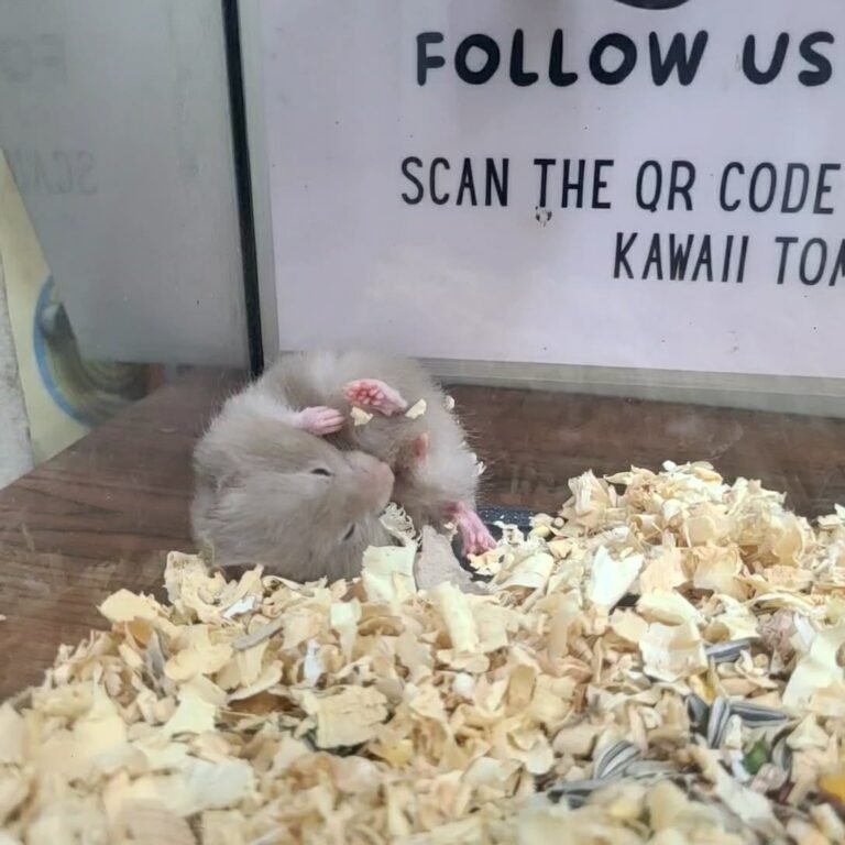 b00826c2-0b62-4834-8bd4-5810cad75d9d