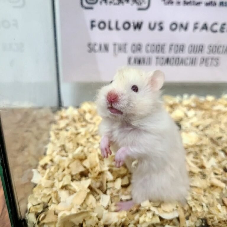 b669cb75-7589-46e4-a94b-7b34f0c8f649