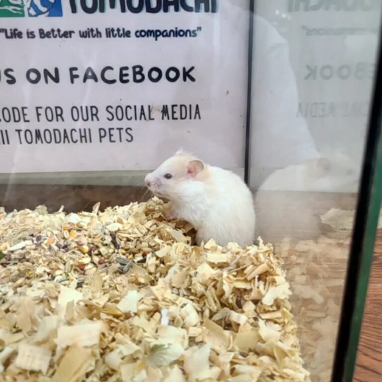 bb71b06b-2d6a-4bfd-b0a6-c7f7cdbfa1bf