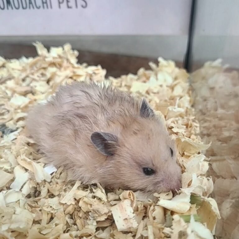 be2c715d-0e91-49fd-8f51-d6ca94bf3fec