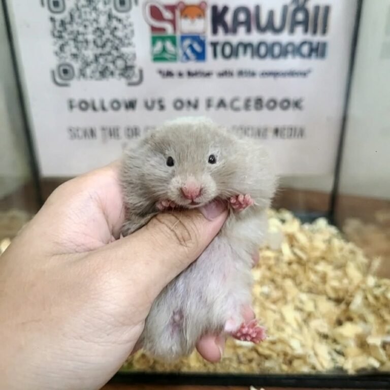 be5020b5-2f6f-4dbd-869d-04fb48e15265