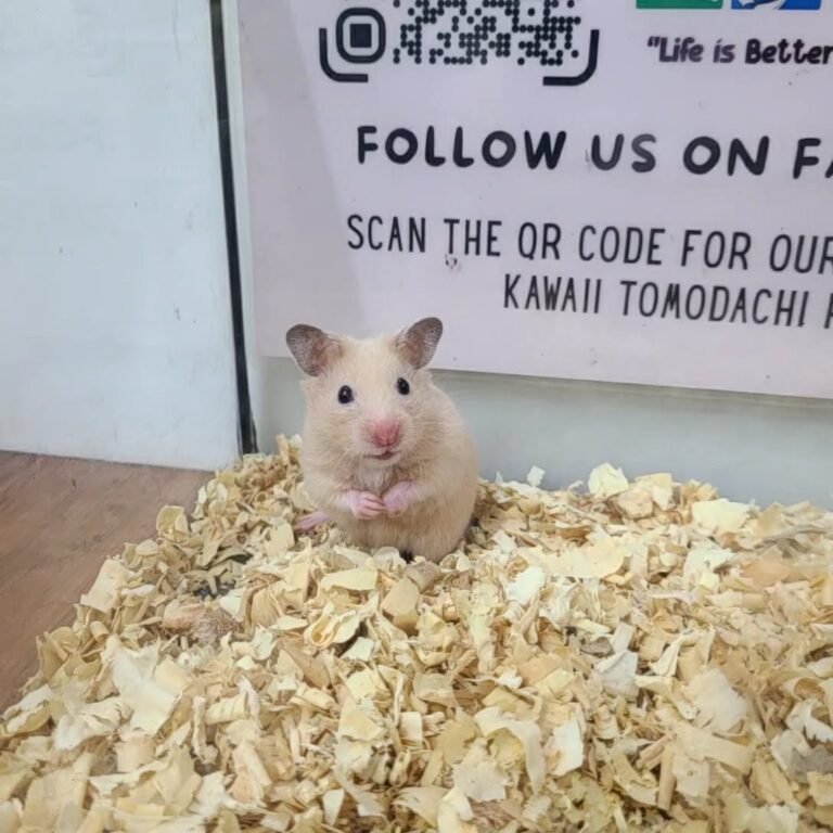 c1ddec96-c639-40e3-b681-b6ca7da2dece