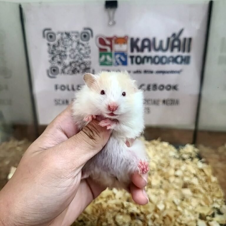 c289daa1-12a9-45e9-b78d-5ed82bc0c81c