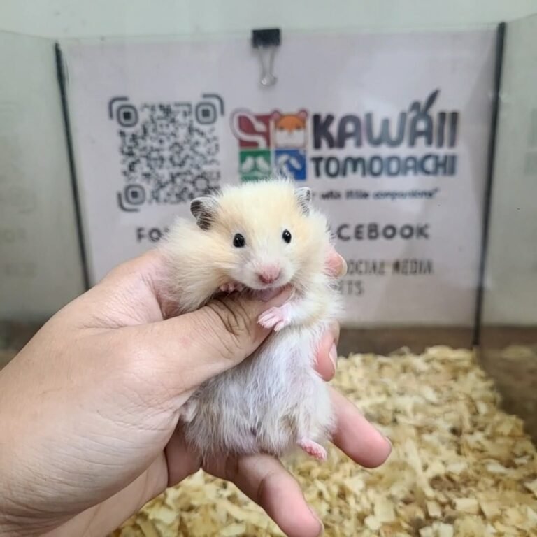 cb4c4cda-afa6-438e-b1bd-af0a80dea7ef