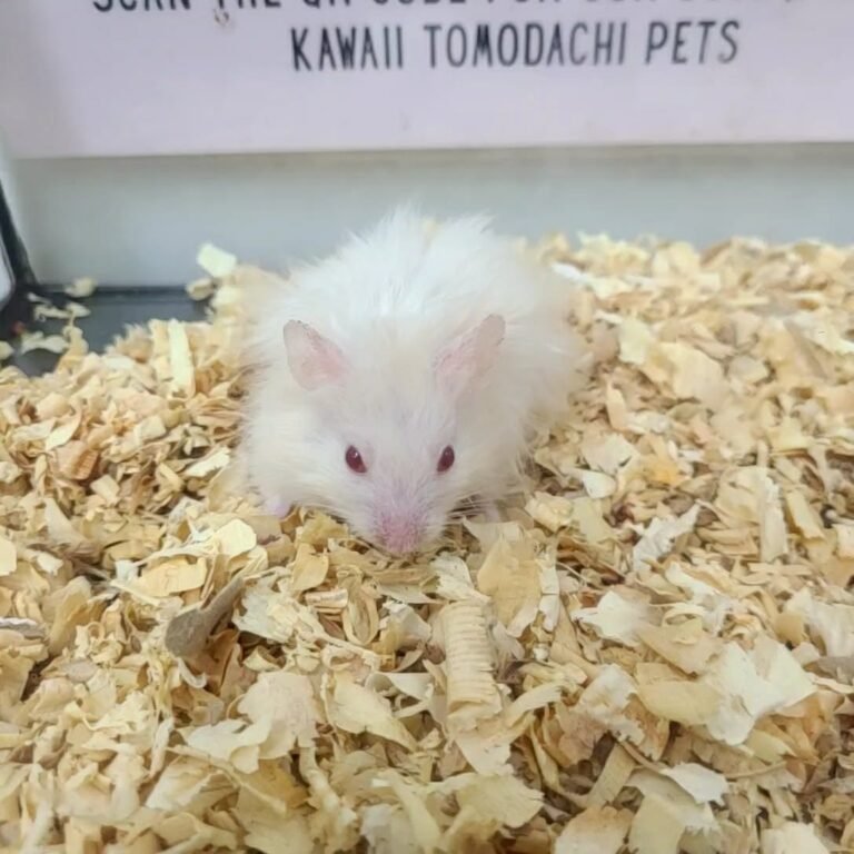 d6fe2751-1573-4433-bab8-166df7ff83ac