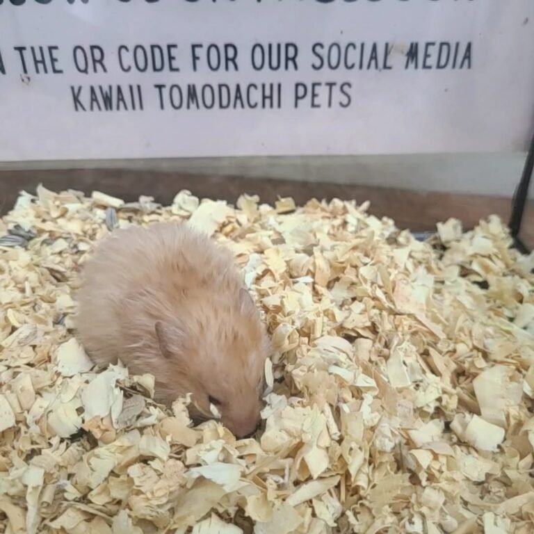 d71dd7e2-b7e3-4ca9-b4e8-b05b50d1e90f