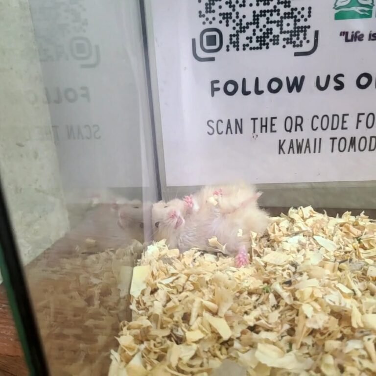 d7fa4929-b500-4327-9627-ad26b4088b84