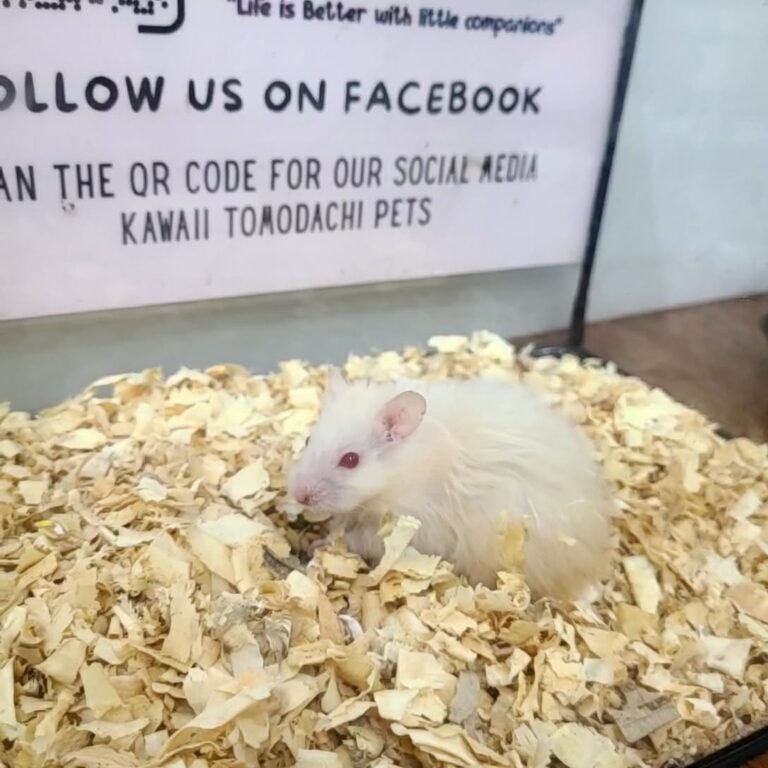 db97f5df-fba5-4c00-966b-1f020377b512