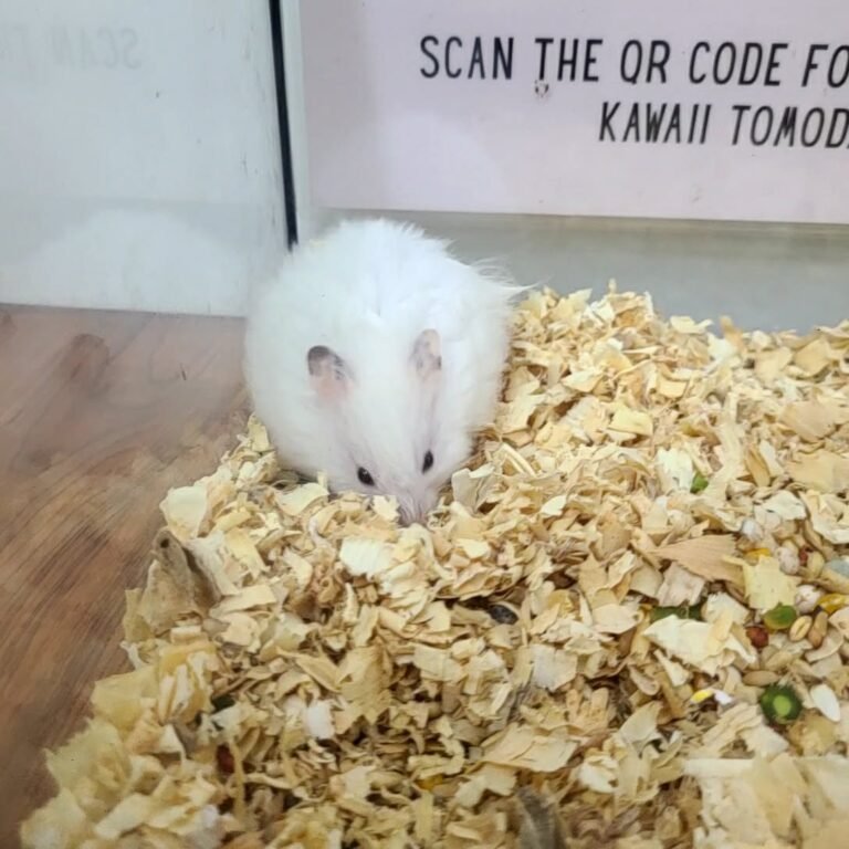 de14d3ce-5adc-4f40-9b24-9971819f5b90