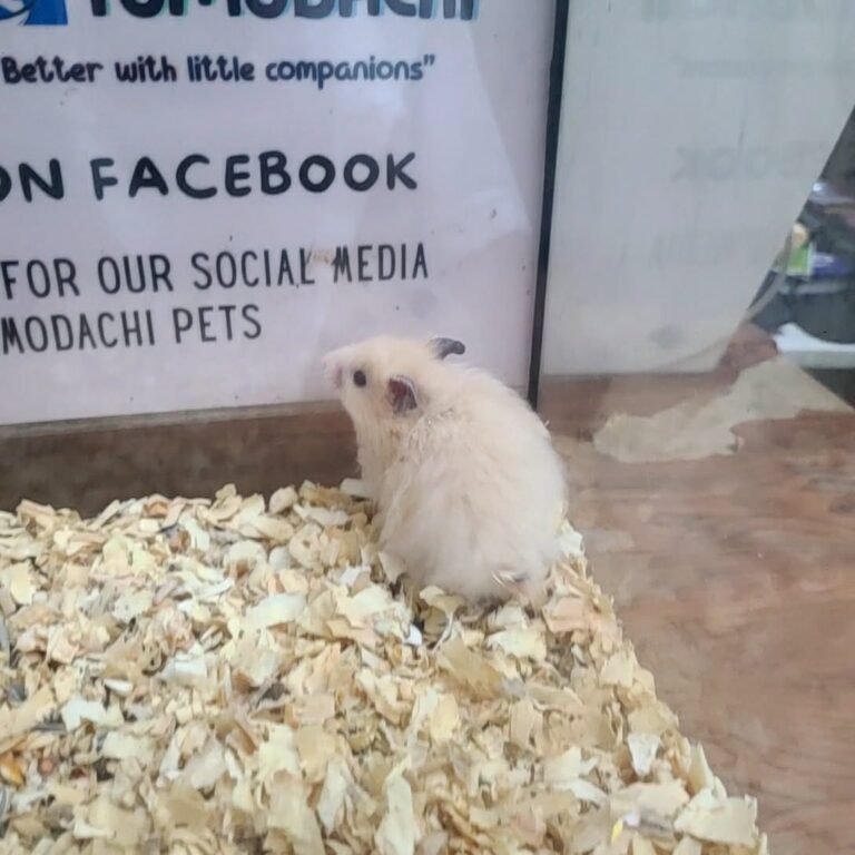 df682ff5-b3a0-4813-bcc0-269580884192