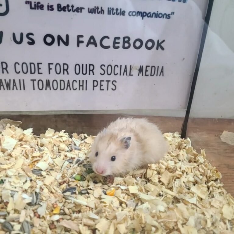 e887565d-c2b7-4fb6-a6e8-669a8c7360d6