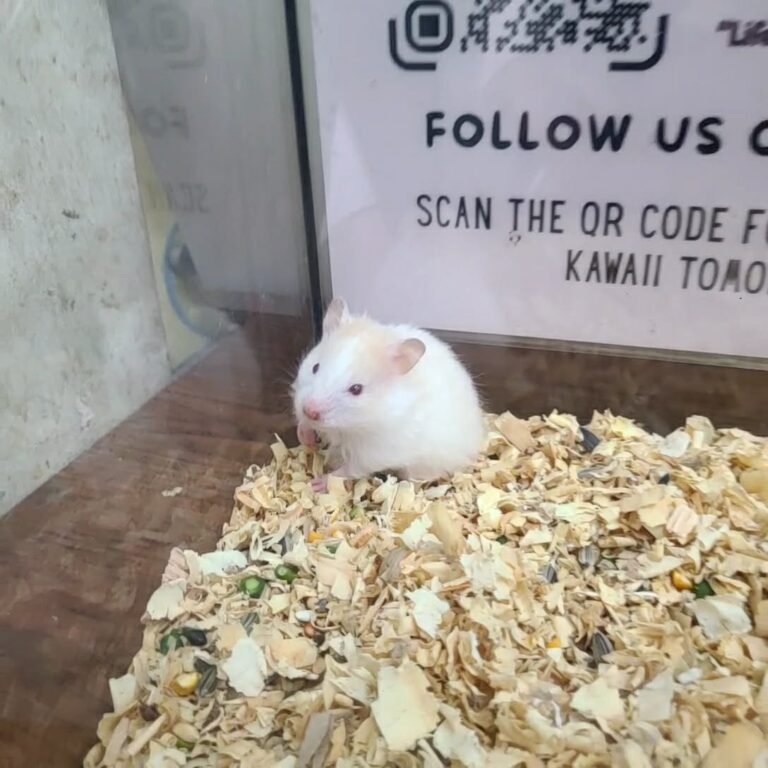 efdce04b-5ddb-4929-9453-5c154f7c5bd0