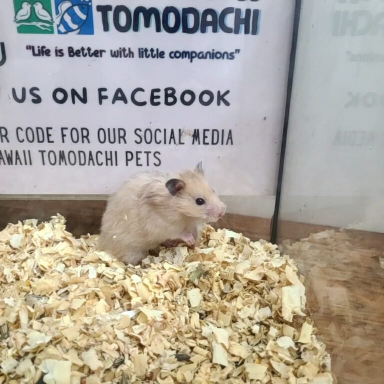 f5a864f7-e3e5-4a2b-a6f4-8999eb74b2a6