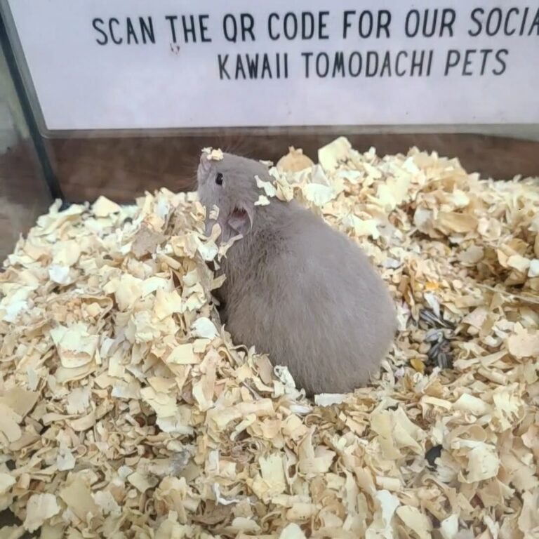 f6cf330c-ba6b-42a7-8dcc-d6af3fe24be2