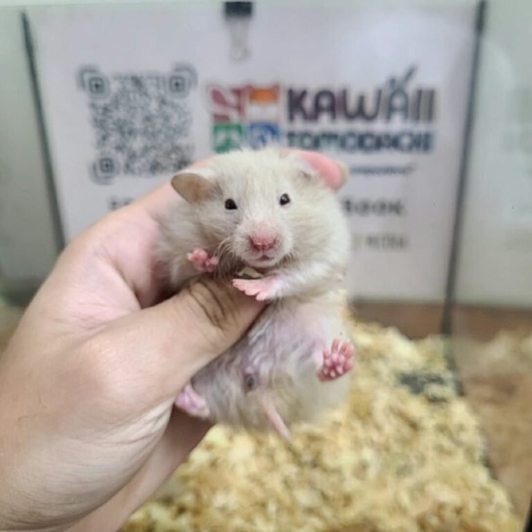 f856690a-a255-4743-9e66-753dfc95a1d0