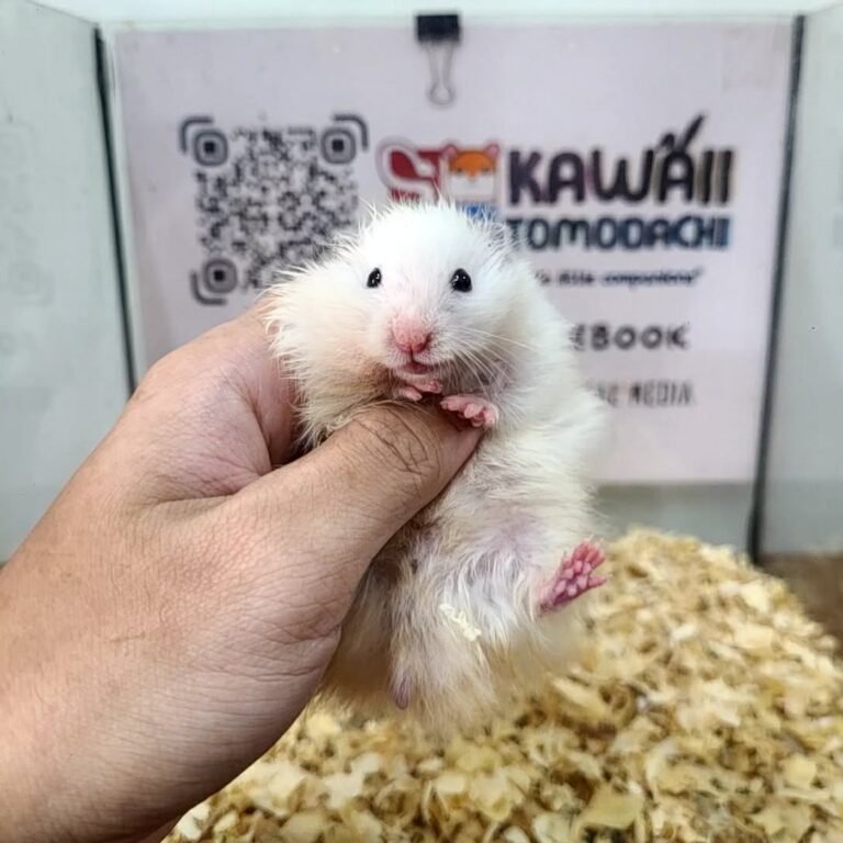 fb80a0ae-0686-44d6-8092-62a9909b1b6b