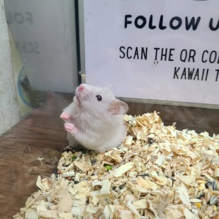 fc7270d8-40a7-4190-87a4-f22571929a90