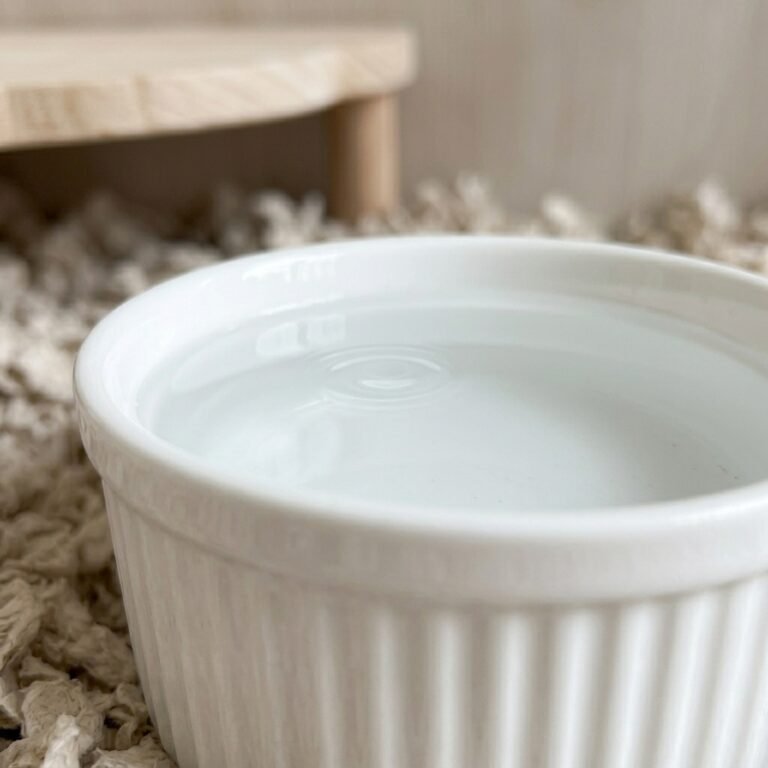 Bowl_with_clear_202603230108