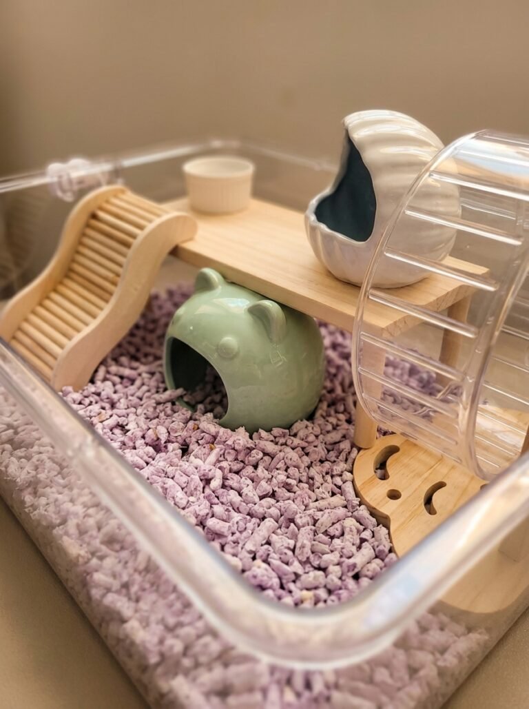 Product_preservation_priority_202603222202