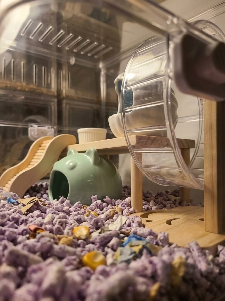 Product_preservation_priority_202603222210