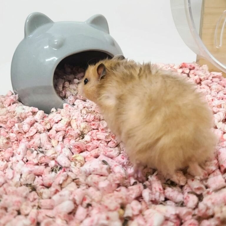 Enhance_image_to_202604130340 (1)