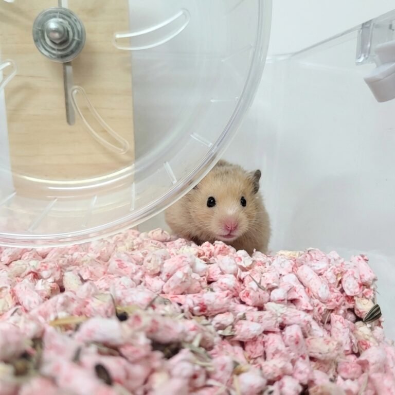 Enhance_image_to_202604130342