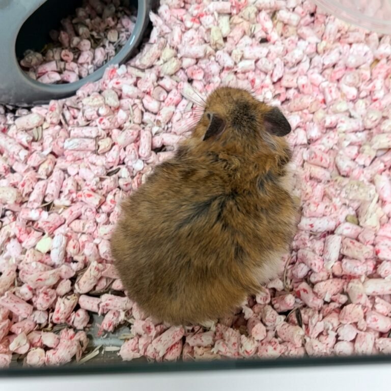 Enhance_image_to_202604130348 (1)