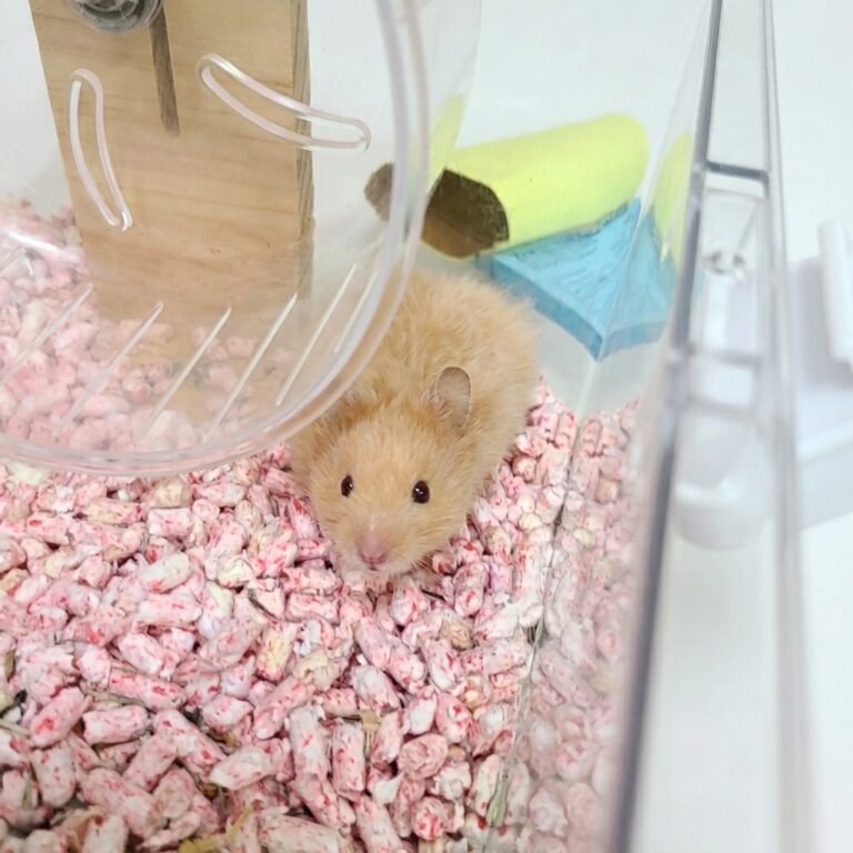 Enhance_image_to_202604130352 (1)