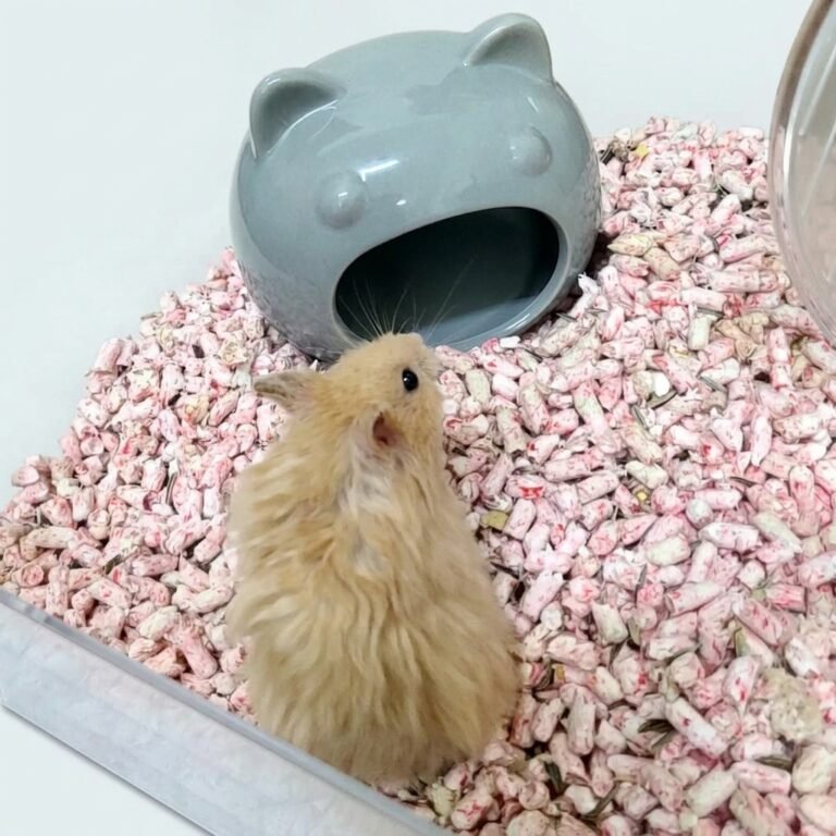 Enhance_image_to_202604130353