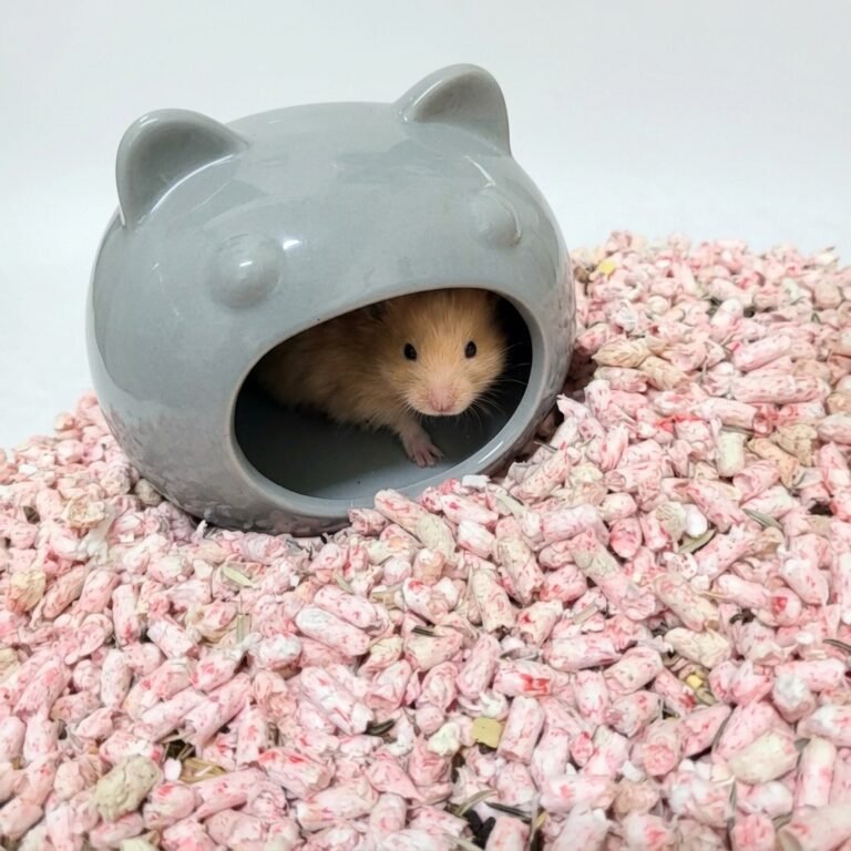 Enhance_image_to_202604130354