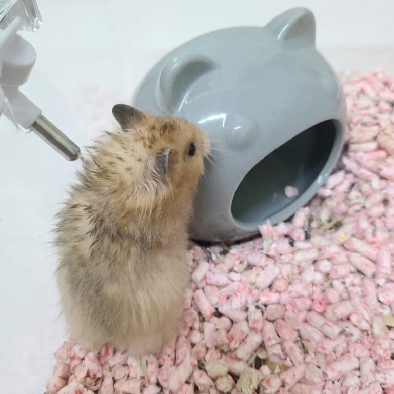 Enhance_image_to_202604130406