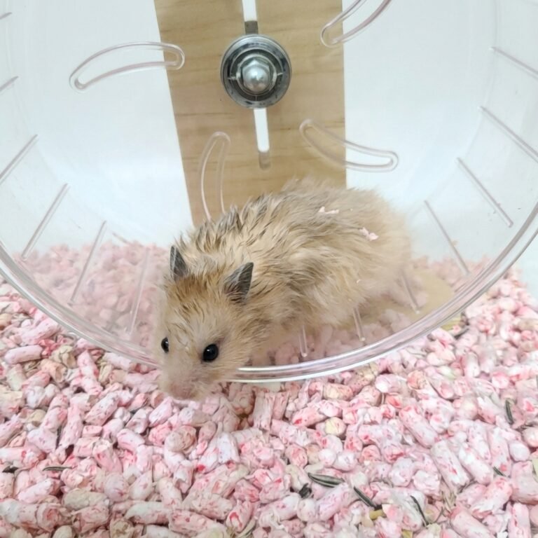 Enhance_image_to_202604130408