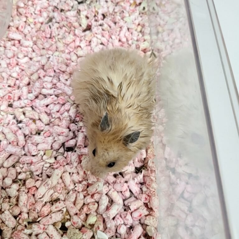 Enhance_image_to_202604130409