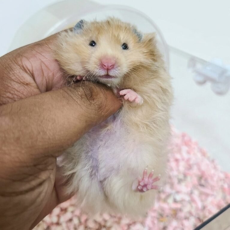 Enhance_image_to_202604130418