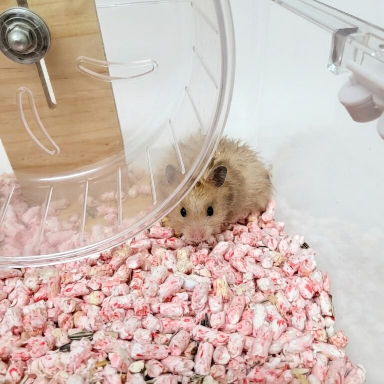 Enhance_image_to_202604130419