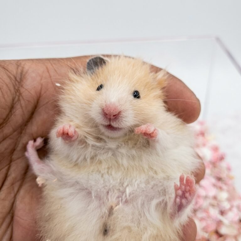 Enhance_image_to_202604130425