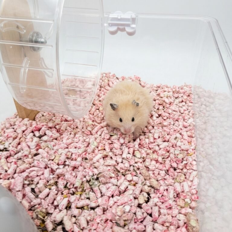 Enhance_image_to_202604130427 (1)