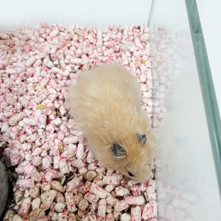 Enhance_image_to_202604130428