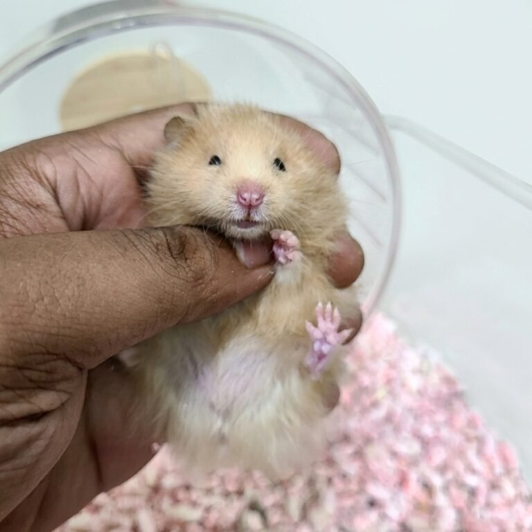 Enhance_image_to_202604130431