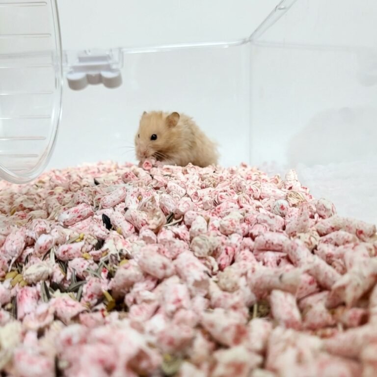 Enhance_image_to_202604130433