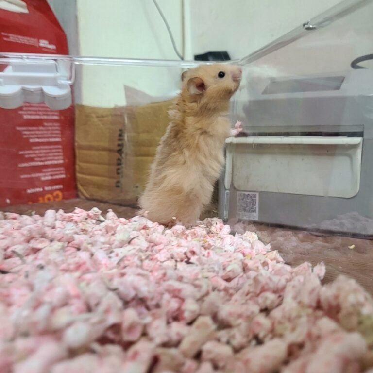 Enhance_photo_make_202604130434