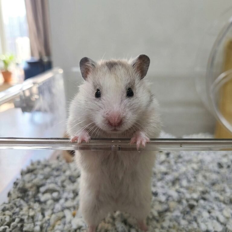 Enhance_picture_don't_202604101535