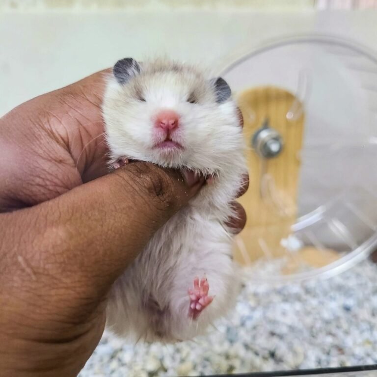 Enhance_picture_don't_202604101537