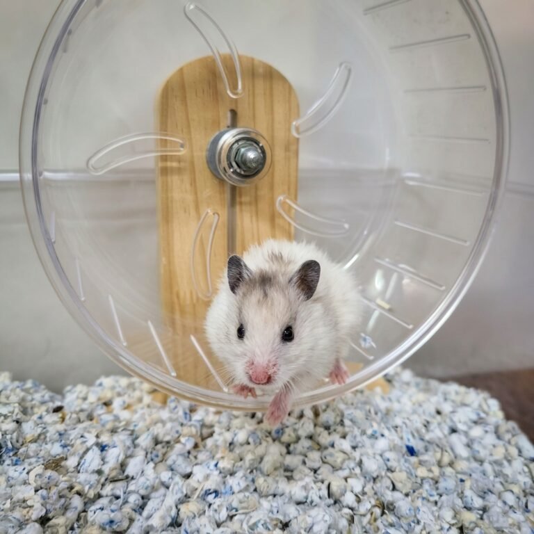 Enhance_picture_don't_202604101539