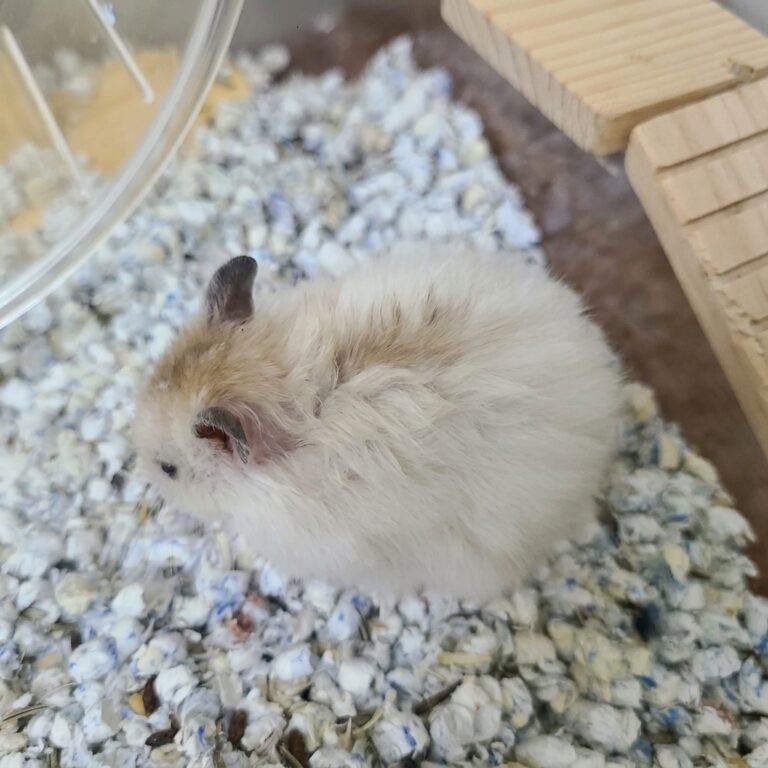 Enhance_picture_don't_202604101541