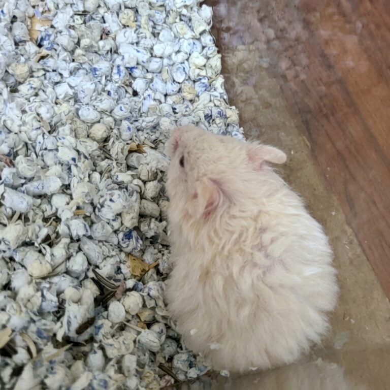 Enhance_picture_don't_202604101552 (1)